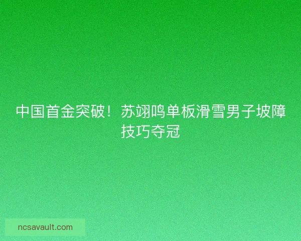 中国首金突破！苏翊鸣单板滑雪男子坡障技巧夺冠